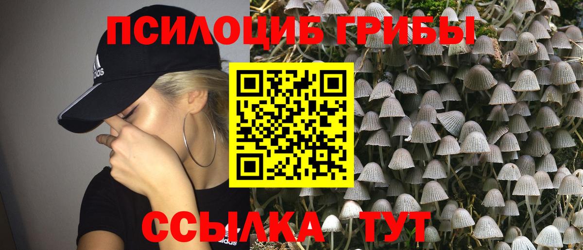 Галлюциногенные грибы Magic Shrooms Ярославль
