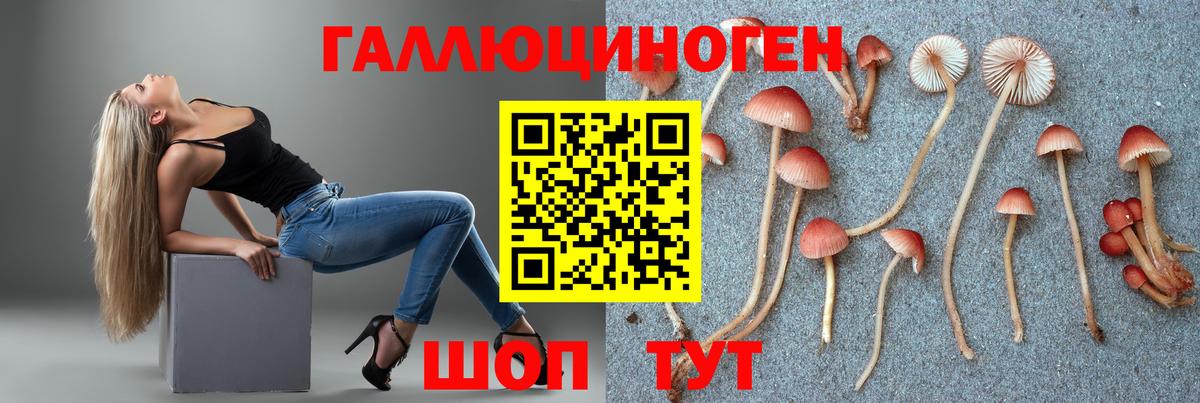 Ярославль  Галлюциногенные грибы ЛСД  Вход с VPN  Галлюциногенные грибы мицелий 